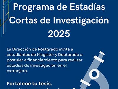 Convocatoria Estadías Cortas DPP 2025