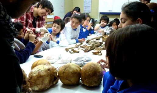 Dos terceros básicos del colegio The Angels School de Ñuñoa realizaron una visita a los laboratorios del Depto. de Antropología