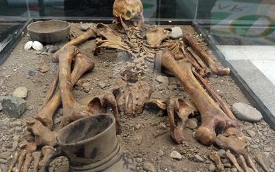Muestra réplicas de esqueletos humanos realizadas a partir de huesos humanos auténticos.