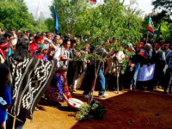 Conflicto Mapuche