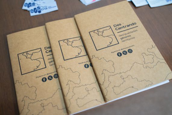 Novedoso Sistema de Indicadores Regionales de Desigualdades de Género fue presentado en Ciencias Sociales.