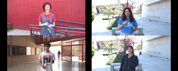 Primeras prácticas pedagógicas: estudiantes de las nuevas carreras de Educación Especial y de Educación Física comparten sus experiencias en aulas.