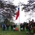 Celebración Fiestas Patrias en FAVET U. de Chile - Facultad de Ciencias ...